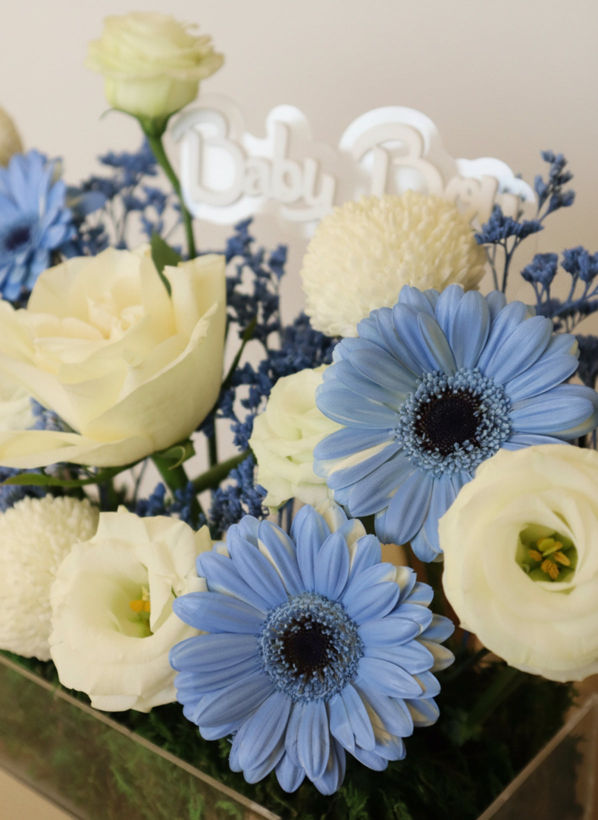 Little Blue Welcome