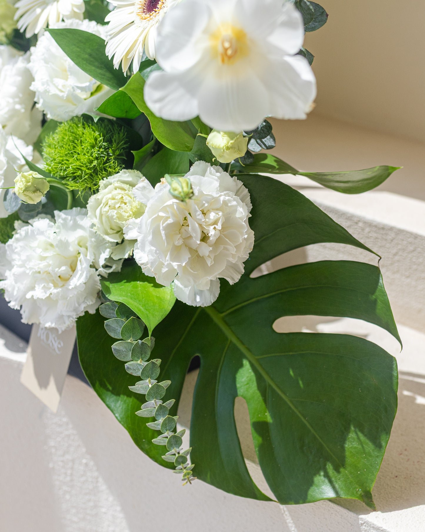 Ivory Garden