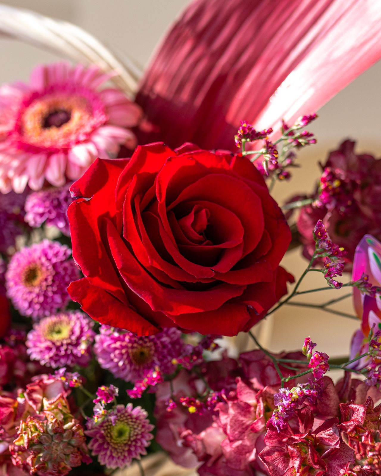 Pink & Red