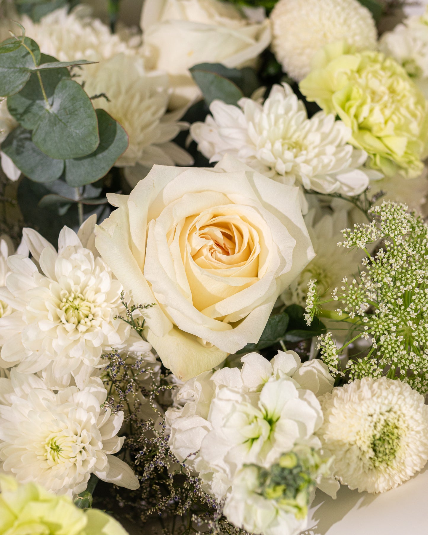 Ivory Elegance