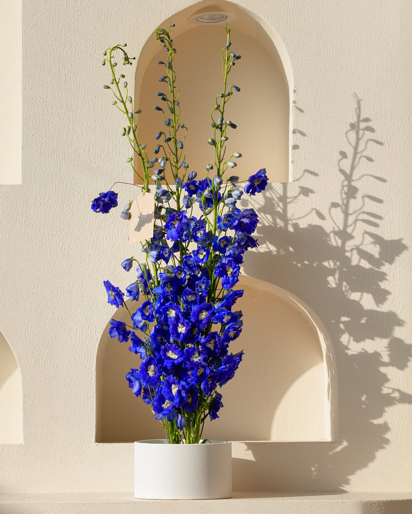 Blue Reverie