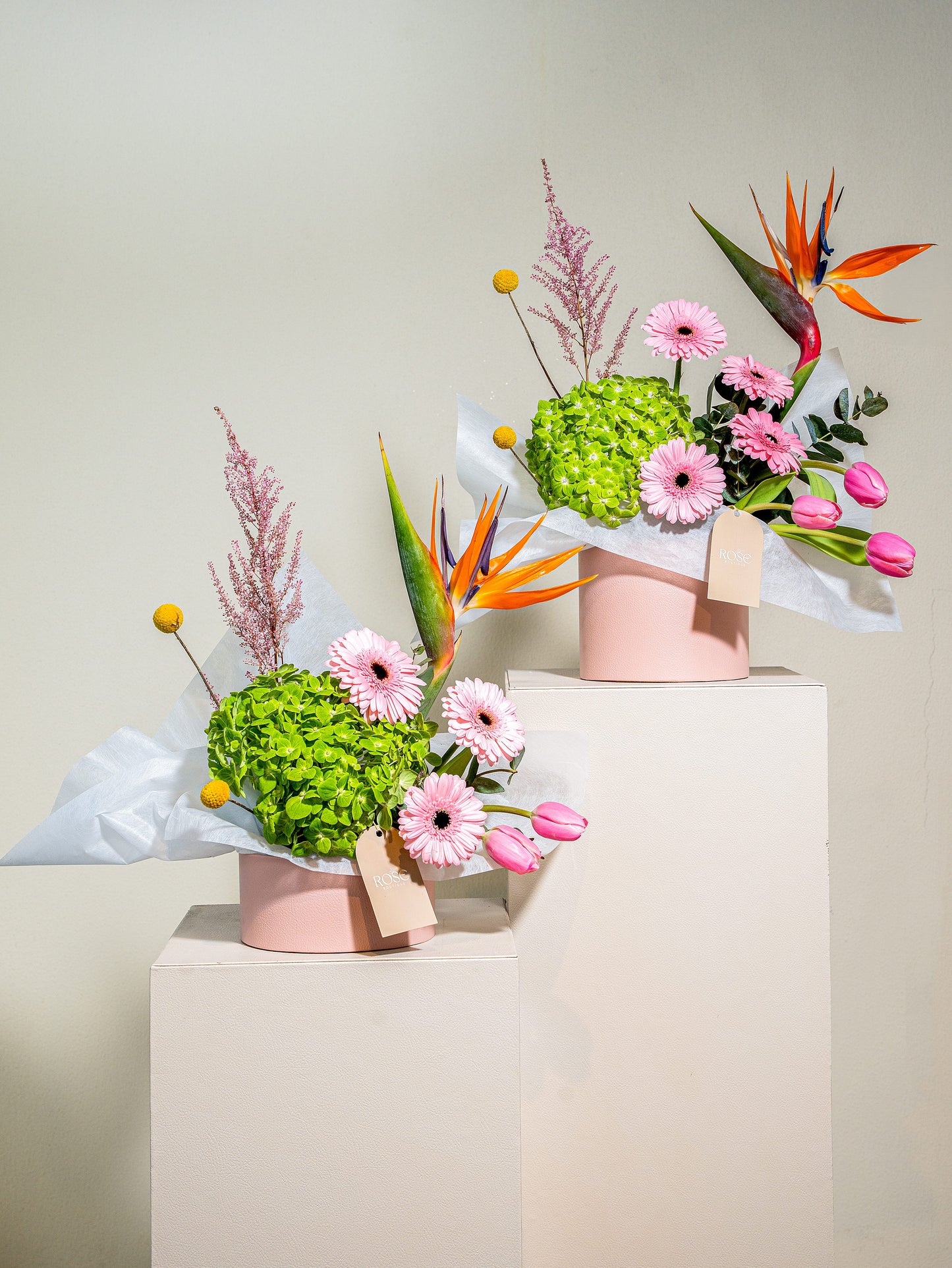 Tropical Bloom ( set of 2)