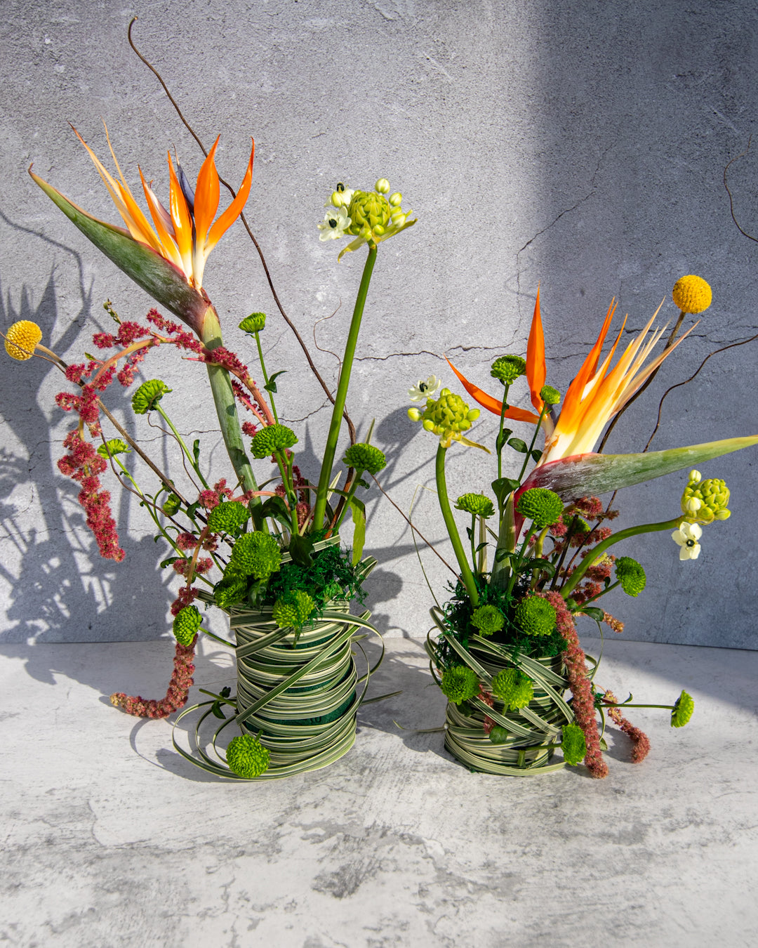 Exotic beauty - Set of 2