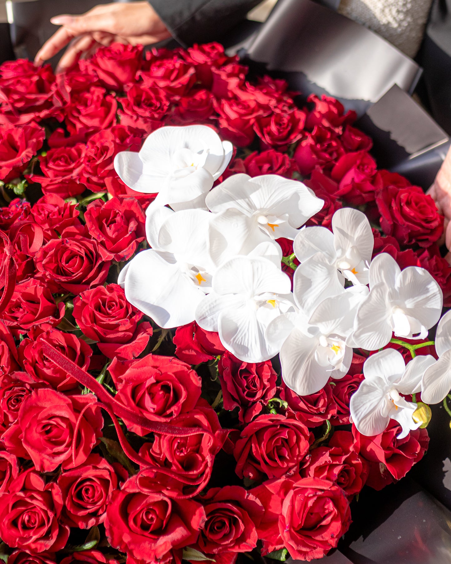 Elegance in Bloom (With Orchids)