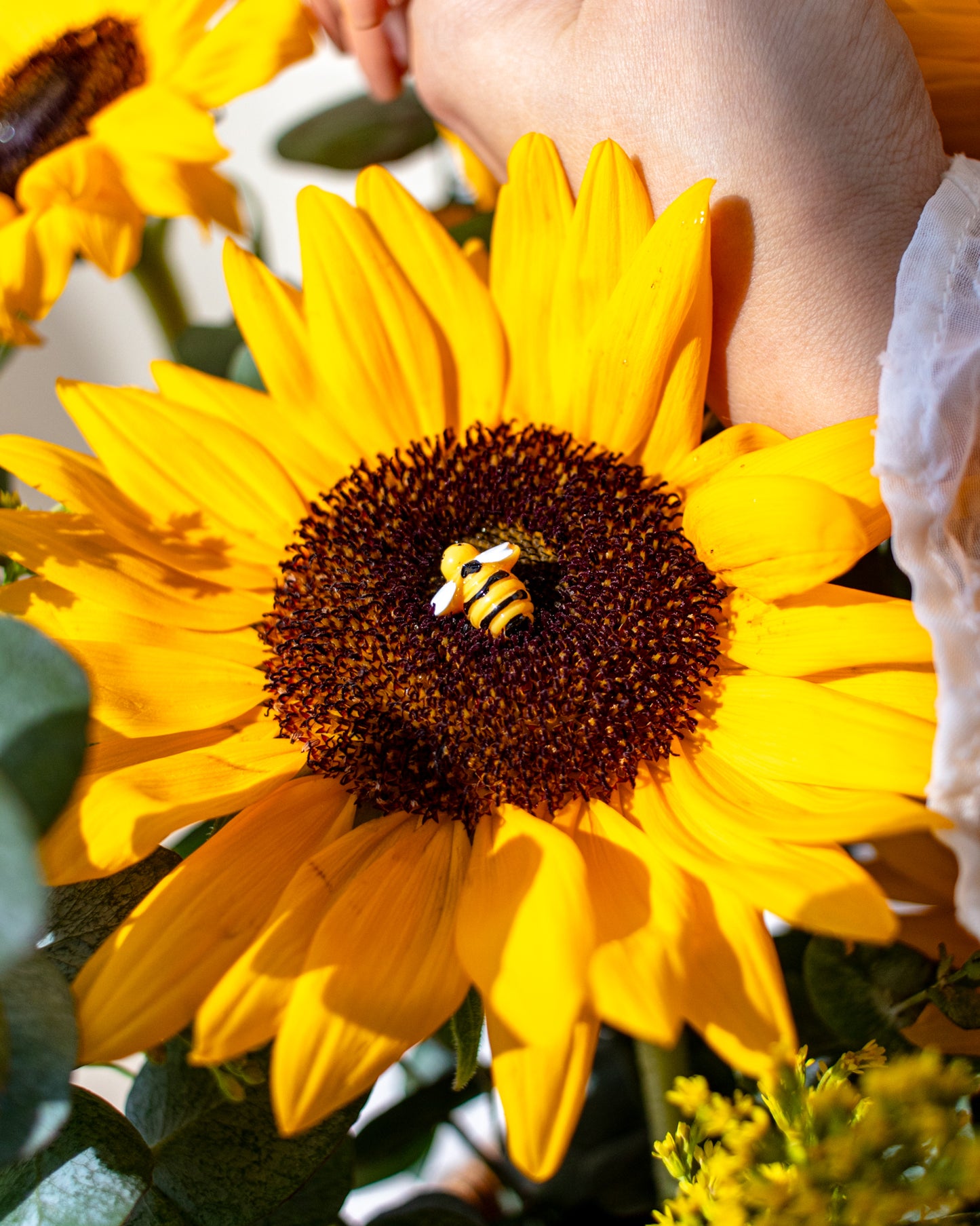 Buzzing with Sunshine