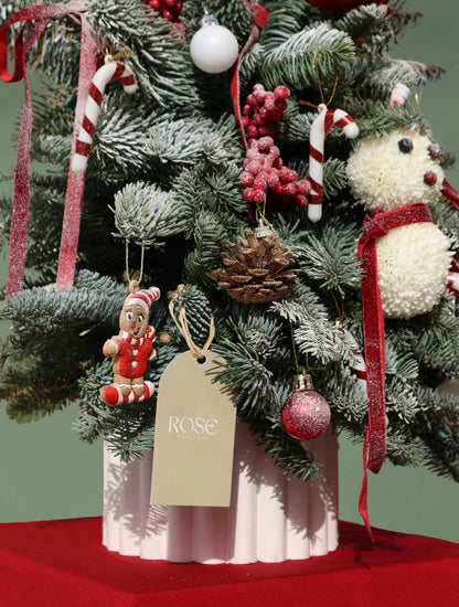 Christmas Tree Magic