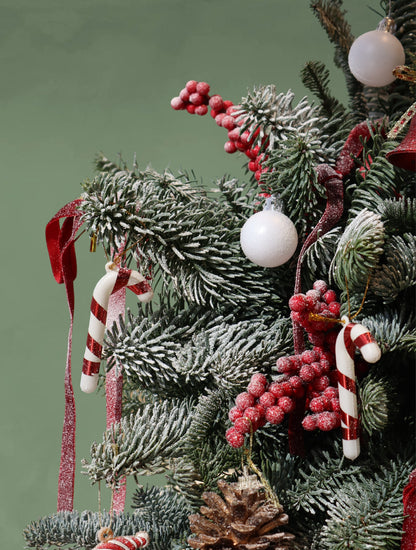 Christmas Tree Magic