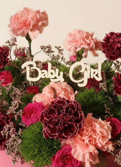 Baby Girl Bloom