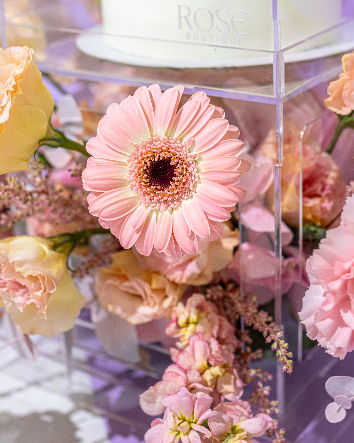 Bloom Box
