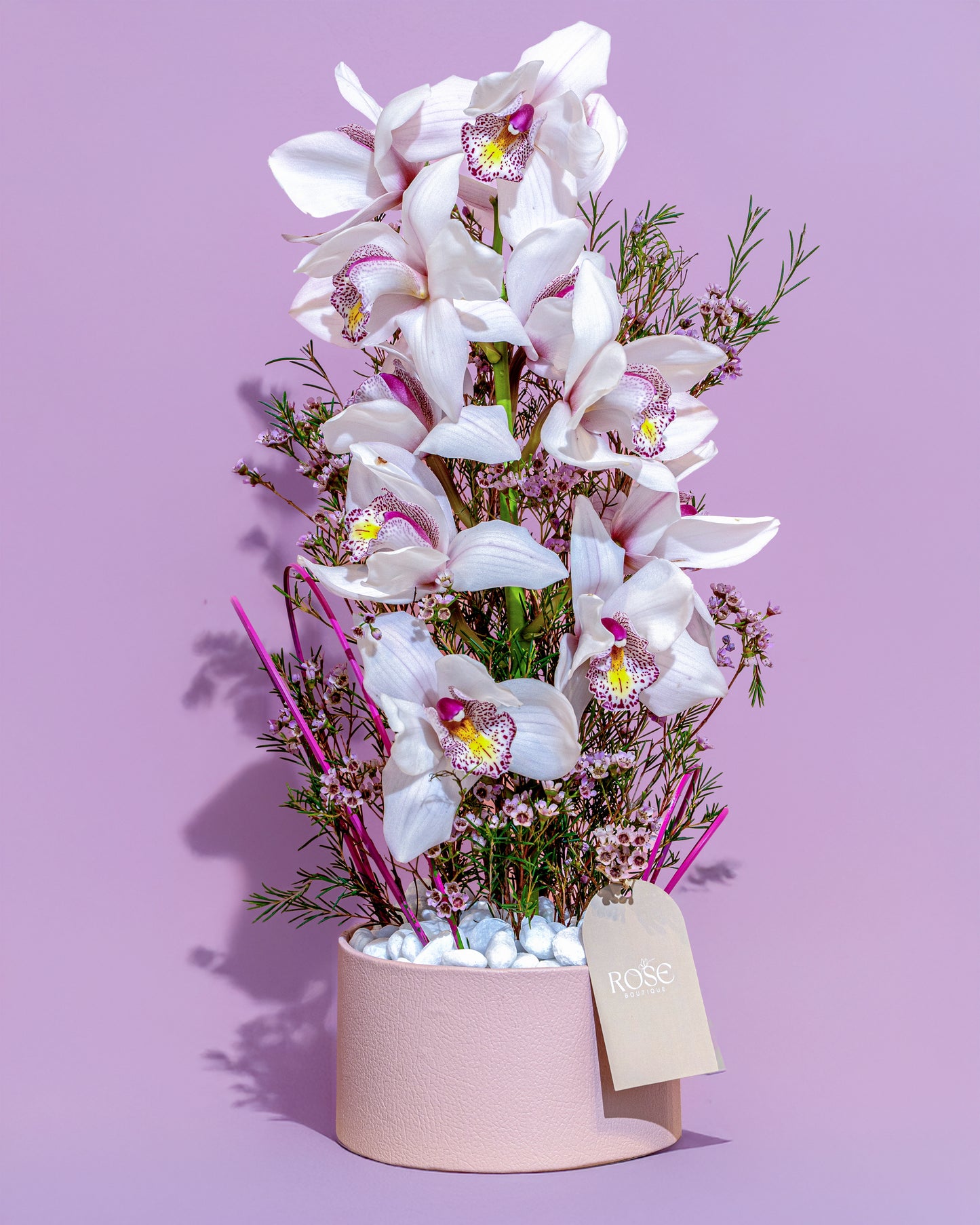Blush Orchid Elegance