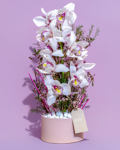 Blush Orchid Elegance