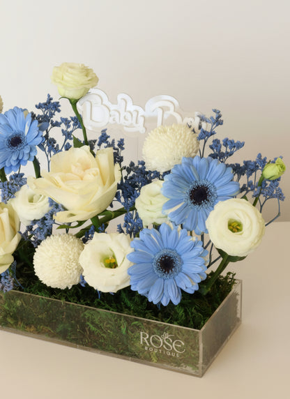Little Blue Welcome