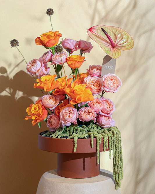 Soleil Garden