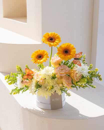 Sunlit Garden