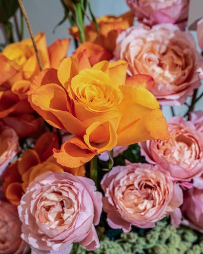 Soleil Garden