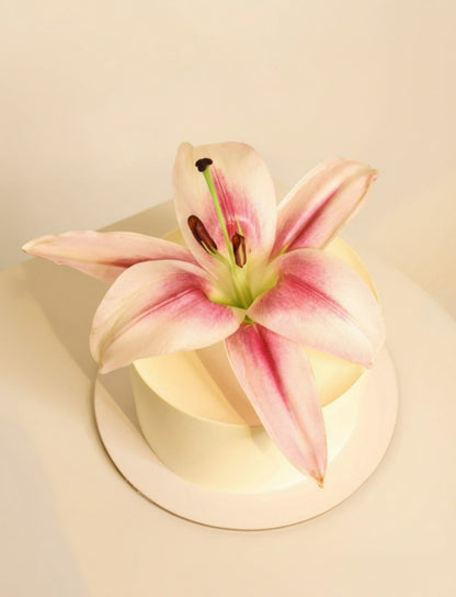 Lily Cake