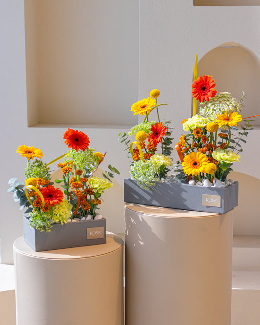 Sunset Bloom Duo