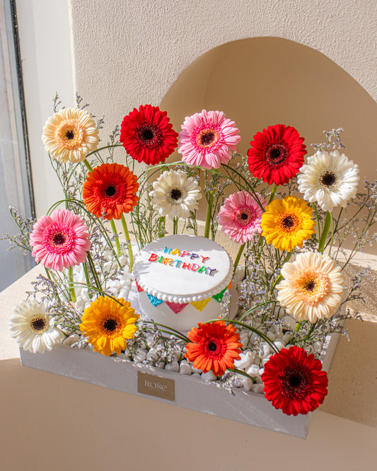 Gerbera Joy