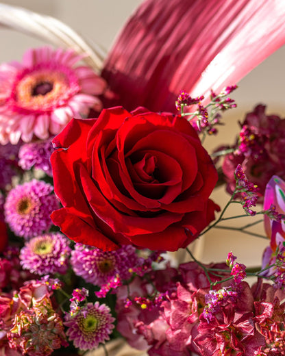 Pink & Red