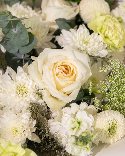 Ivory Elegance