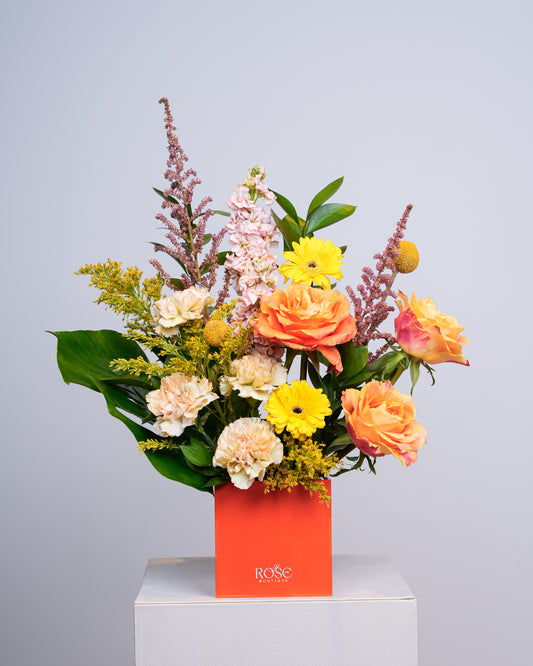 Sunset Orange Box