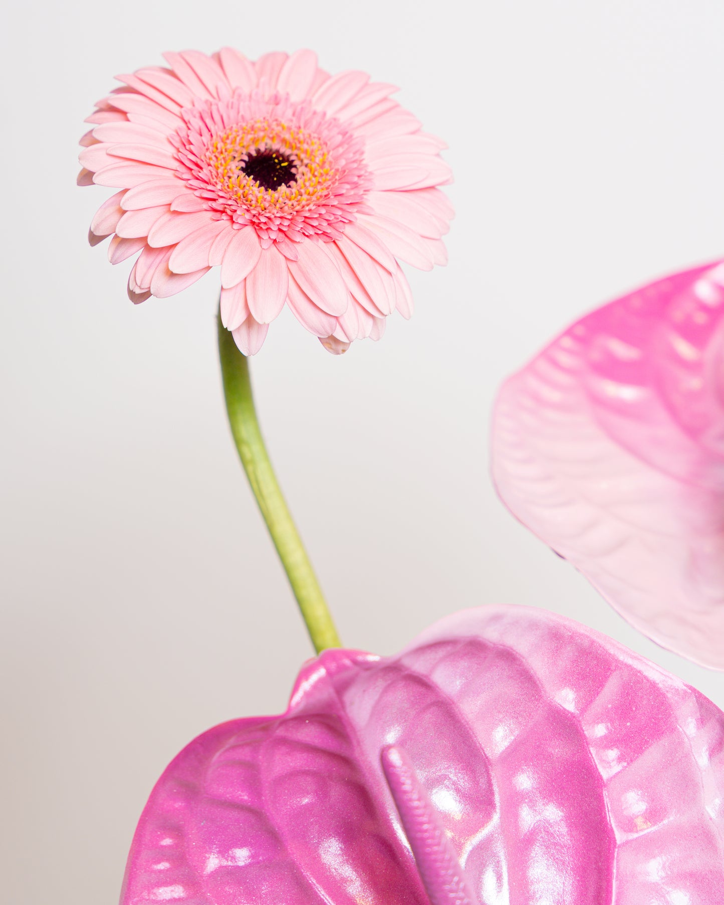 Blush Bloom Graduation Hat