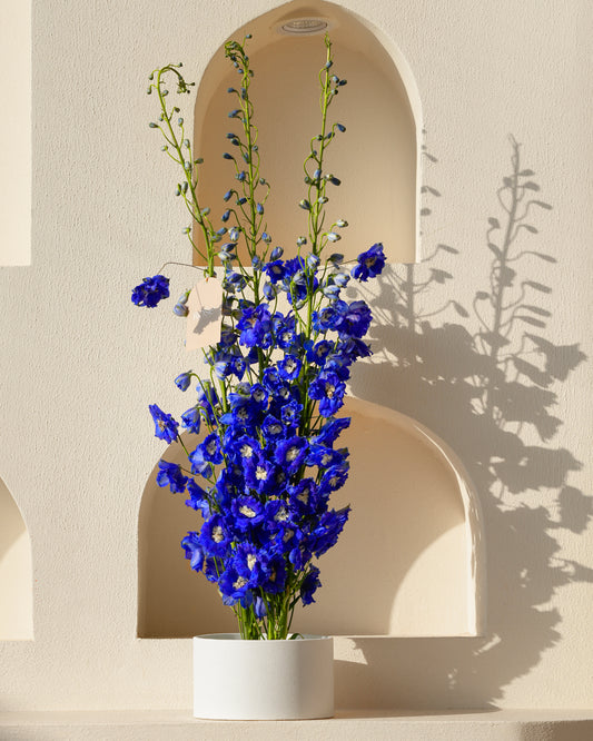 Blue Reverie