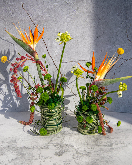 Exotic beauty - Set of 2